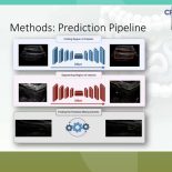 Jonatan Ruiz-Molsgaard